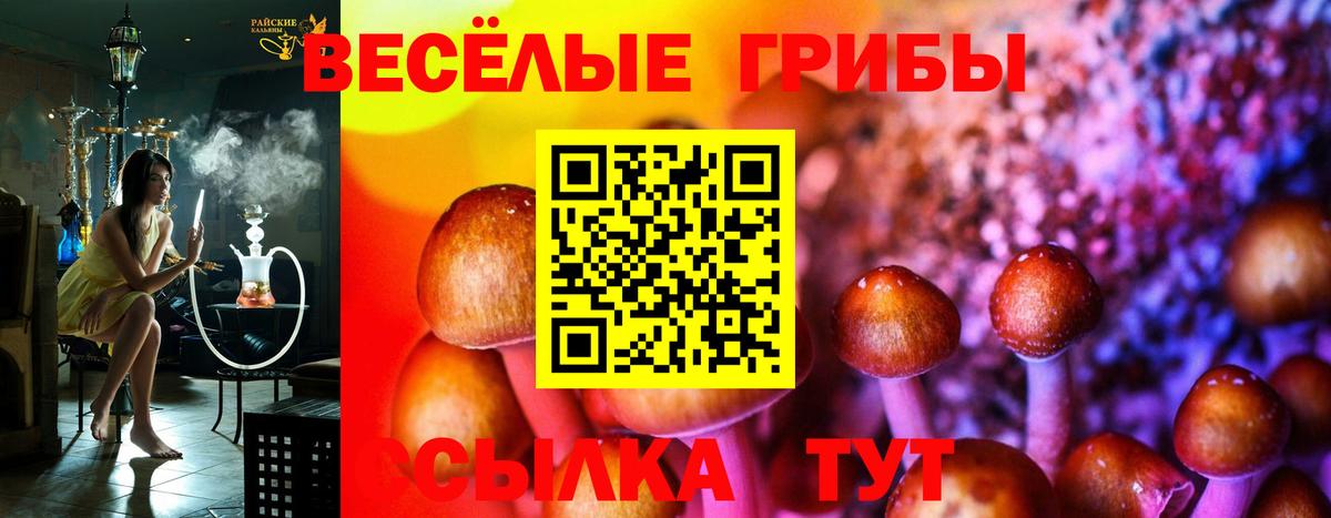 Псилоцибиновые грибы MAGIC MUSHROOMS  Вход с VPN  Галлюциногенные грибы GOLDEN TEACHER  Отрадный 